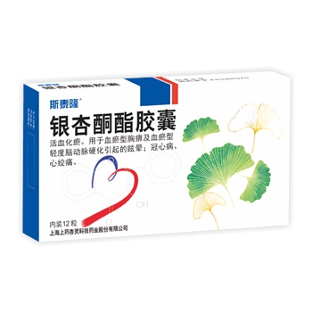 银杏酮酯胶囊